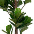 Fiddle Leaf Tree - Groen, PE kunststof/polyester, 81x93x190 cm