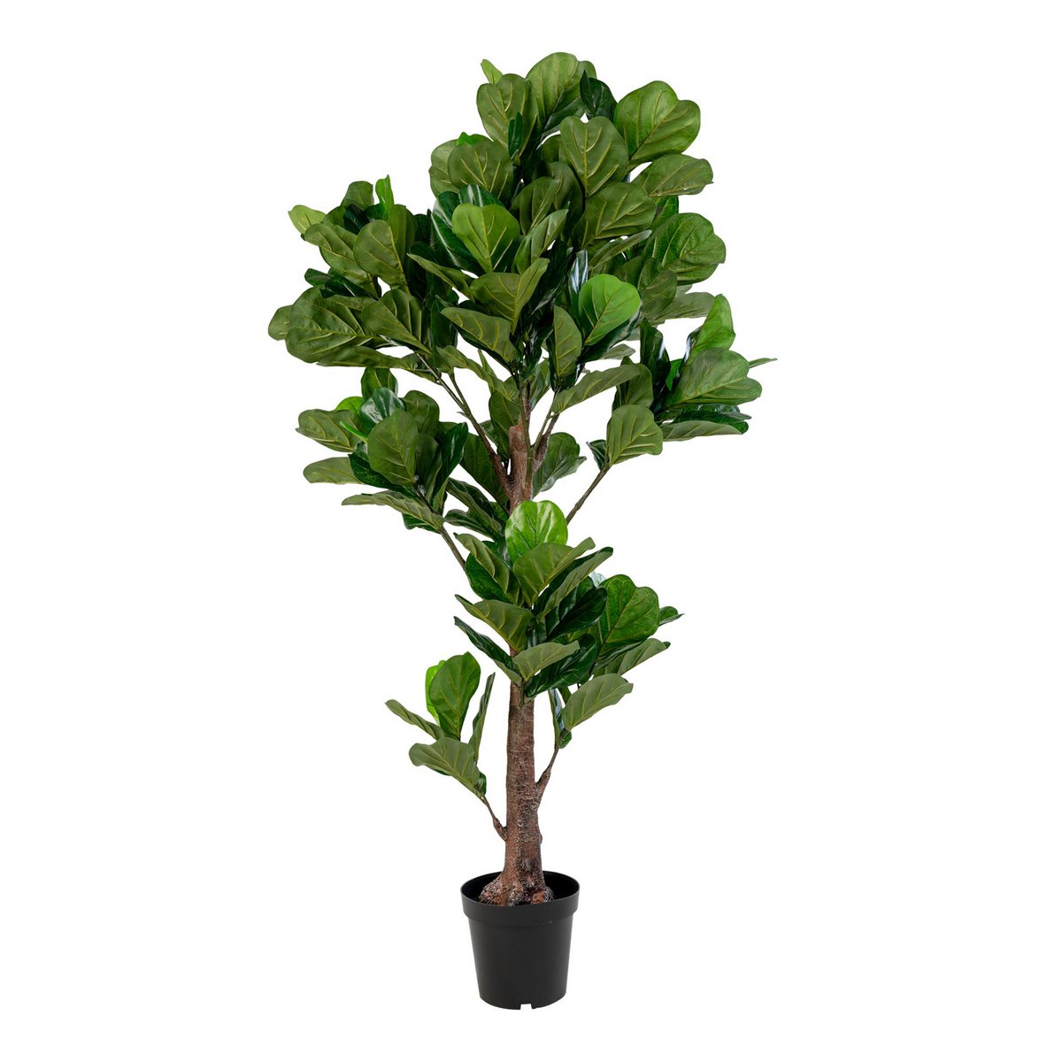 Fiddle Leaf Tree - Groen, PE kunststof/polyester, 81x93x190 cm - House Nordic ApS - Casanovio