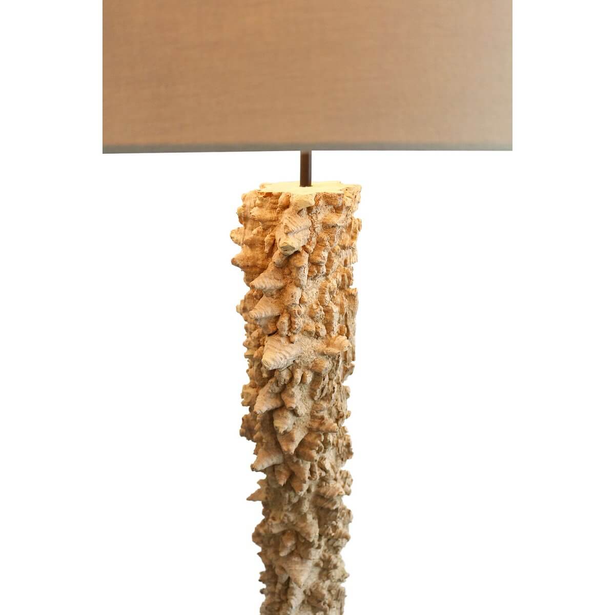 Floor lamp driftwood natural/white 150 cm - SalesFever