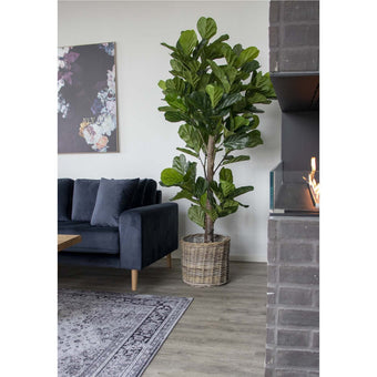 Fiddle Leaf Tree - Groen, PE kunststof/polyester, 81x93x190 cm