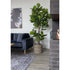 Fiddle Leaf Tree - Groen, PE kunststof/polyester, 81x93x190 cm