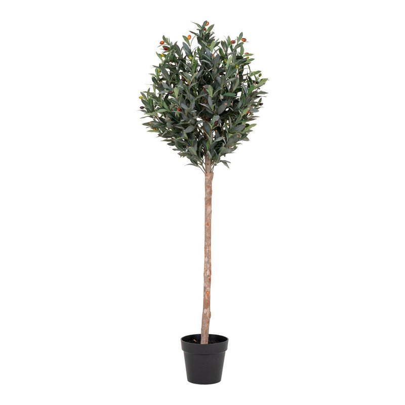 Olijfboom - Groen, PE kunststof/polyester, 58x58x150 cm