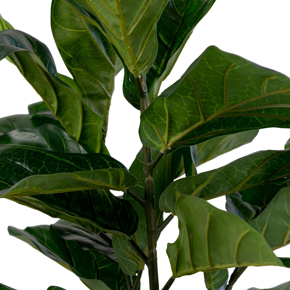 Fiddle Leaf Tree - Groen, PE-kunststof/polyester/cement, 36x46x100 cm