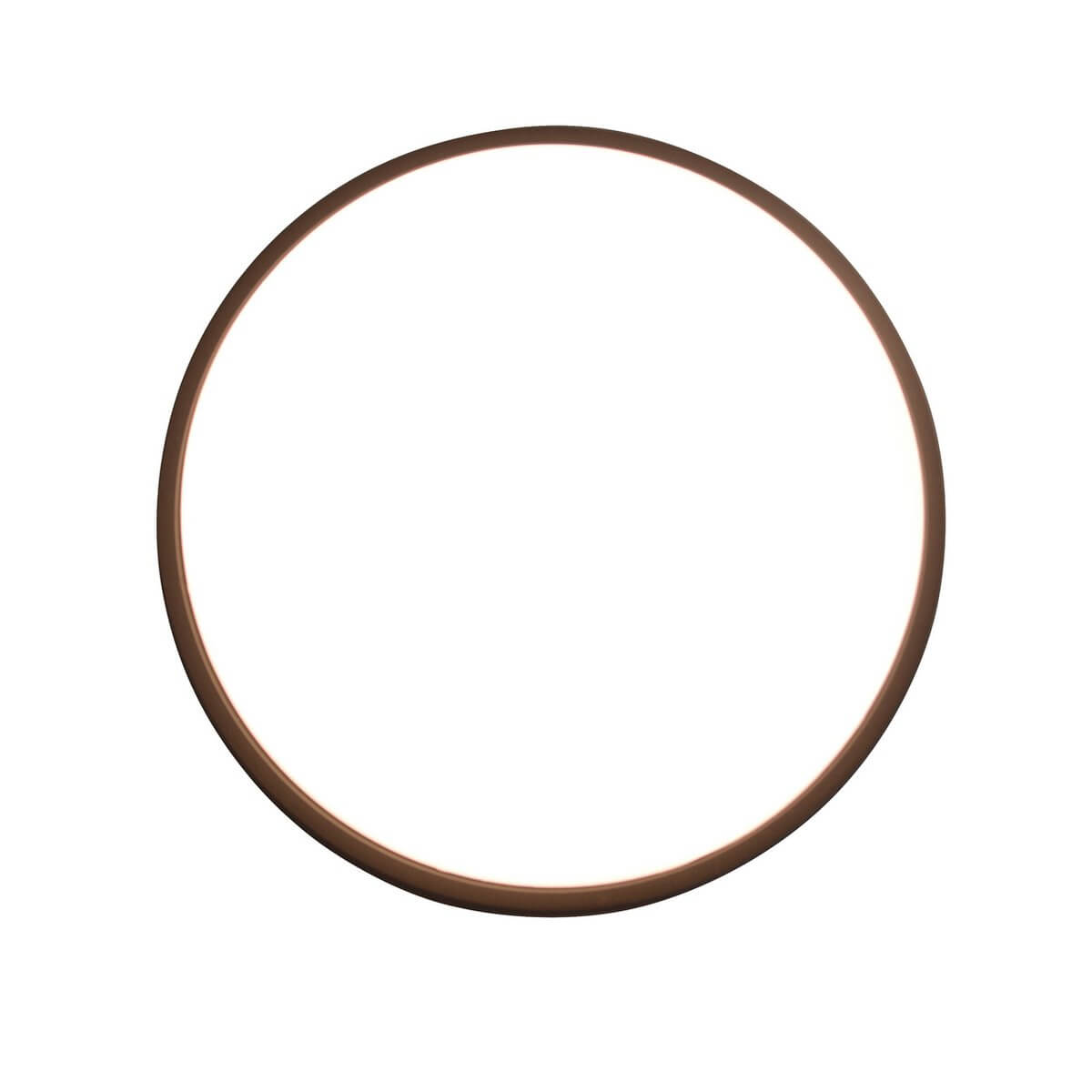 Buiten Wandlamp Metaal en Kunststof – Strak Design Diepe Lichtwerking