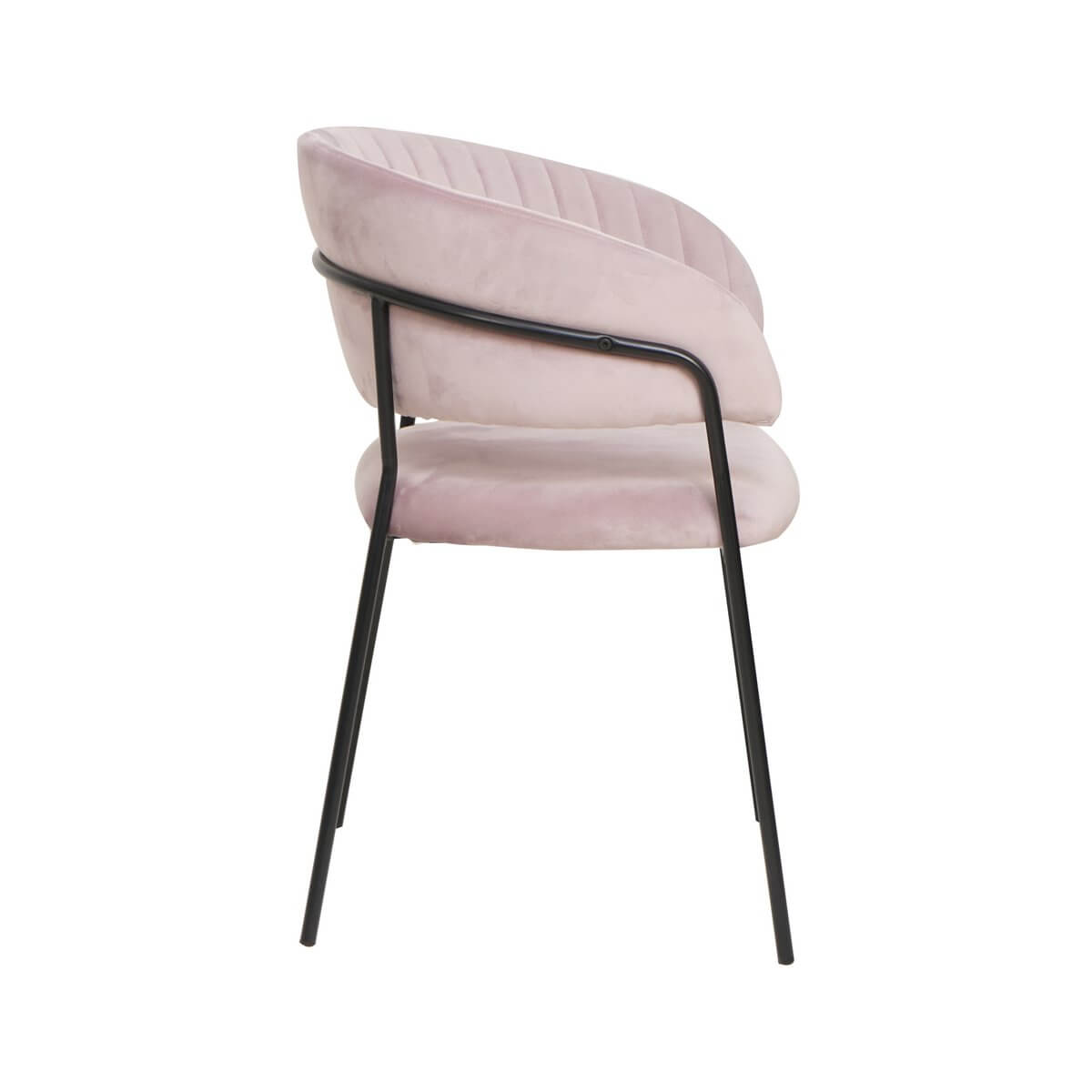 Chair velvet with back quilting rose - SalesFever