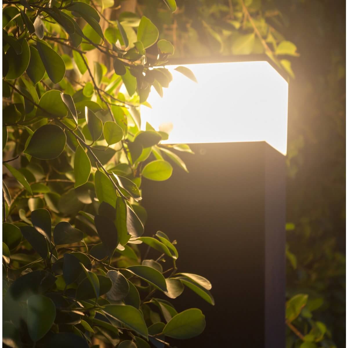 Vigo LED buiten wandlamp zwart of wit - 7 × 12,5 × 50 cm