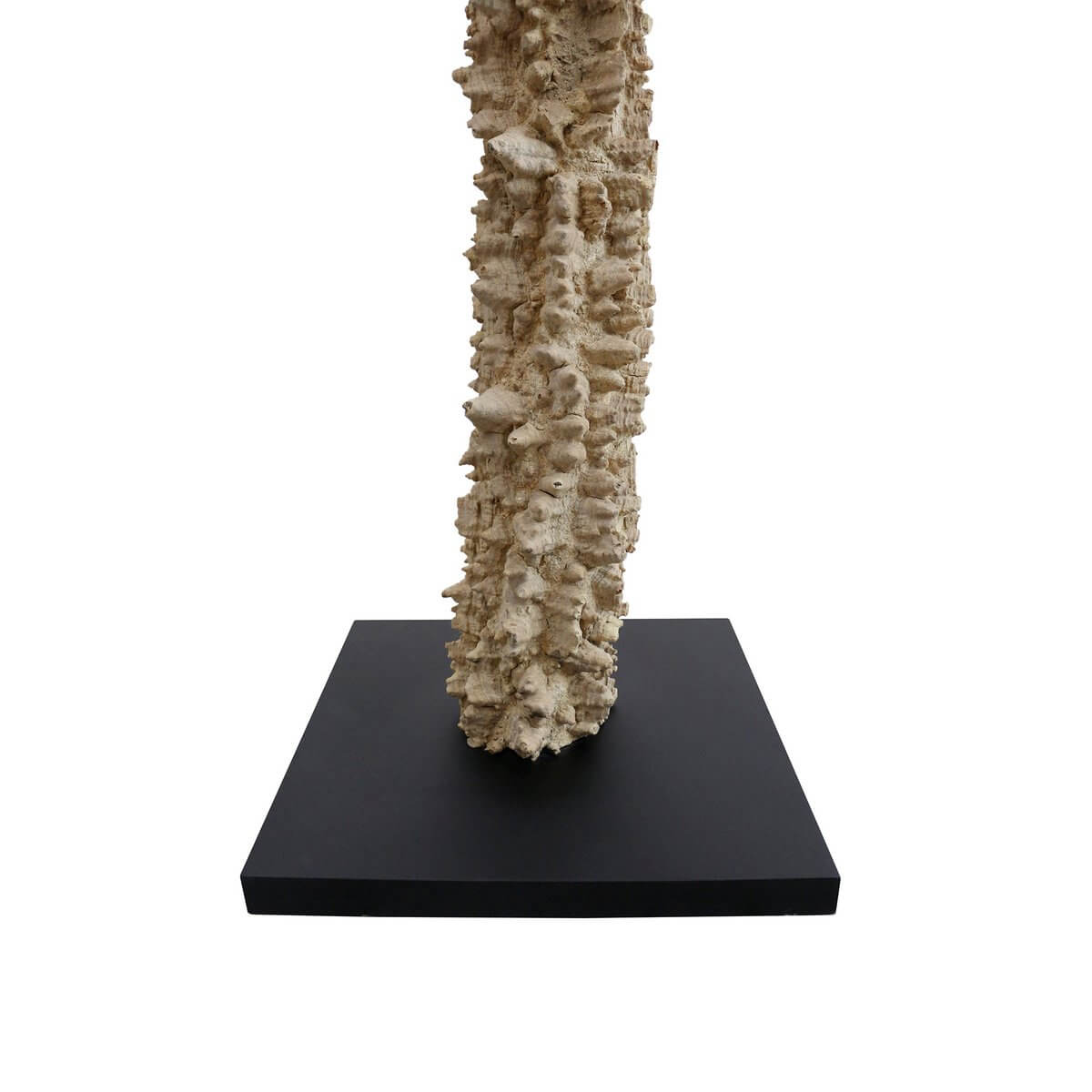 Floor lamp driftwood natural/white 150 cm - SalesFever