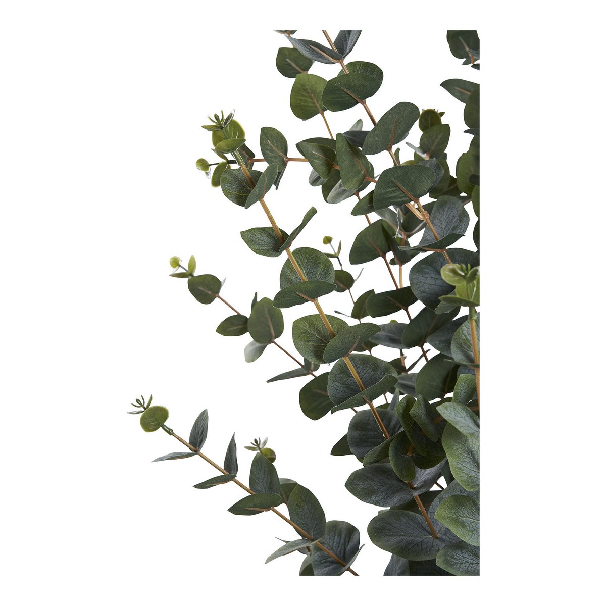 Eucalyptusboom - Groen, PE-kunststof, polyester, draad, cement, 120 cm