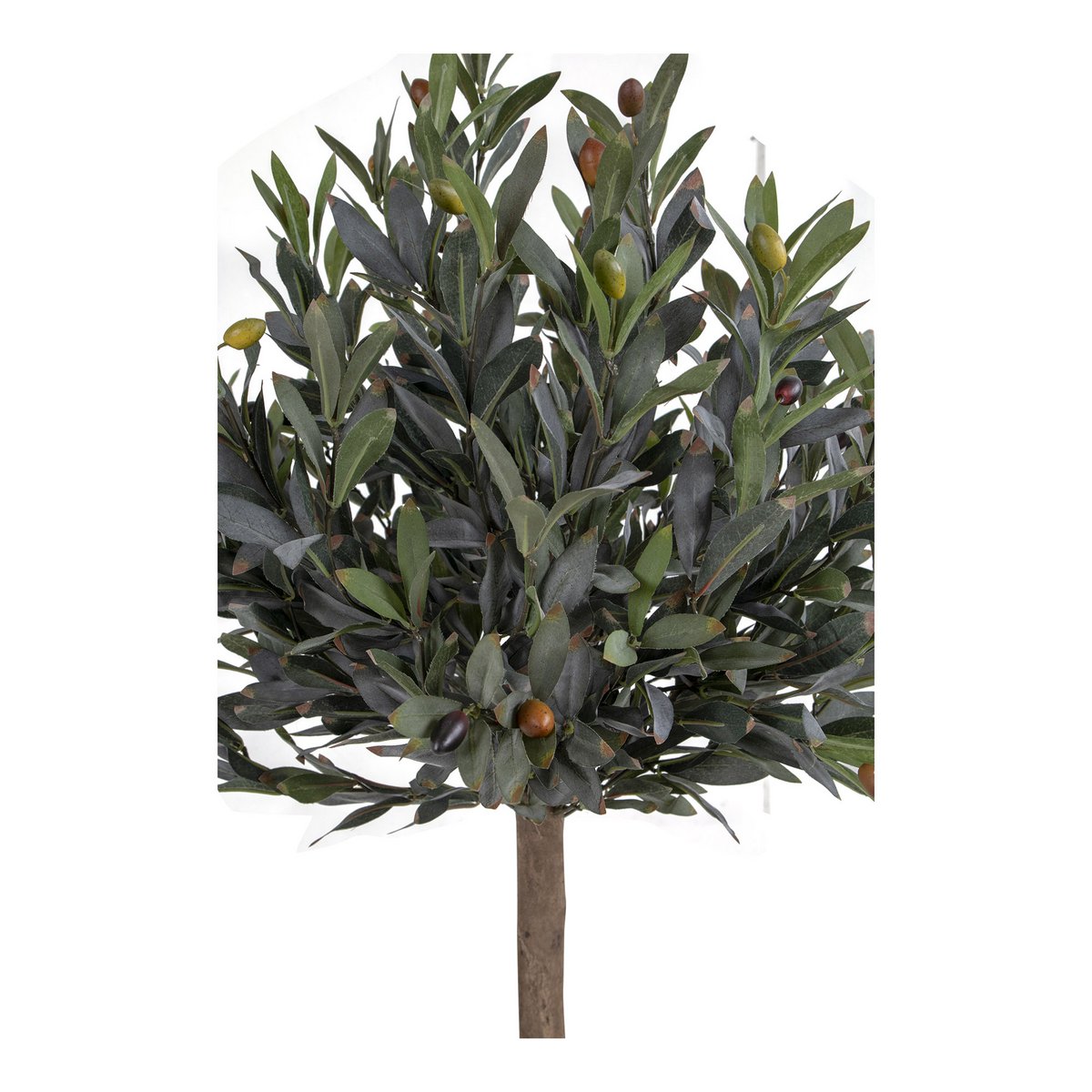 Olijfboom - Groen, PE kunststof/polyester, 43x47x120 cm
