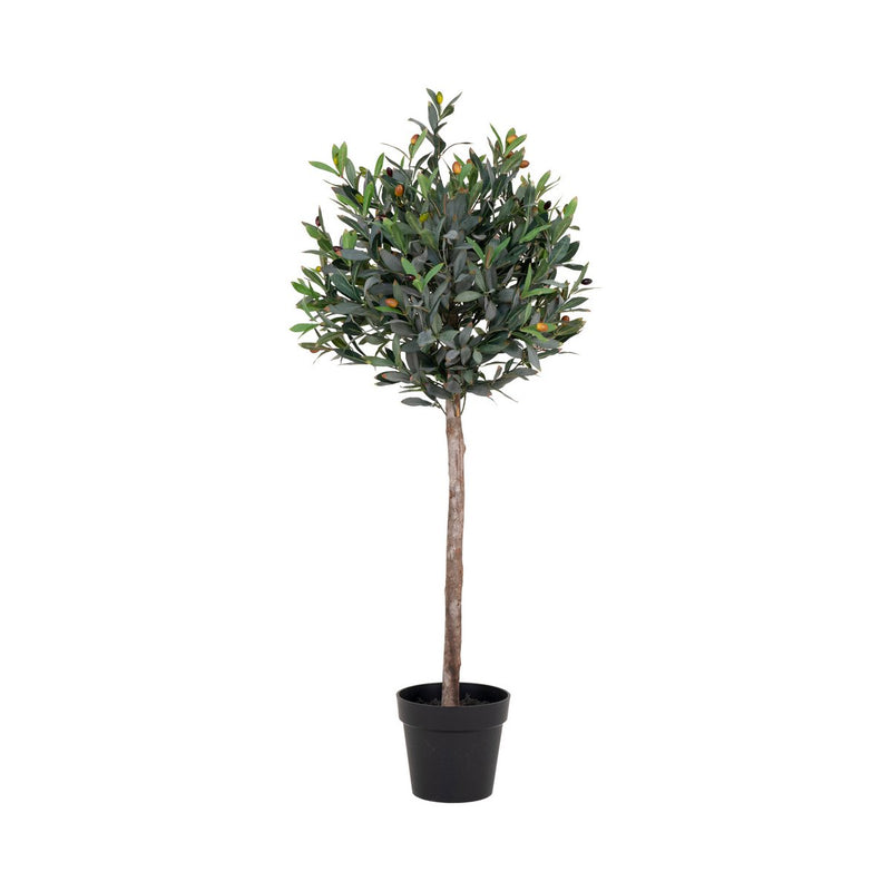 Olijfboom - Groen, PE kunststof/polyester, 43x47x120 cm