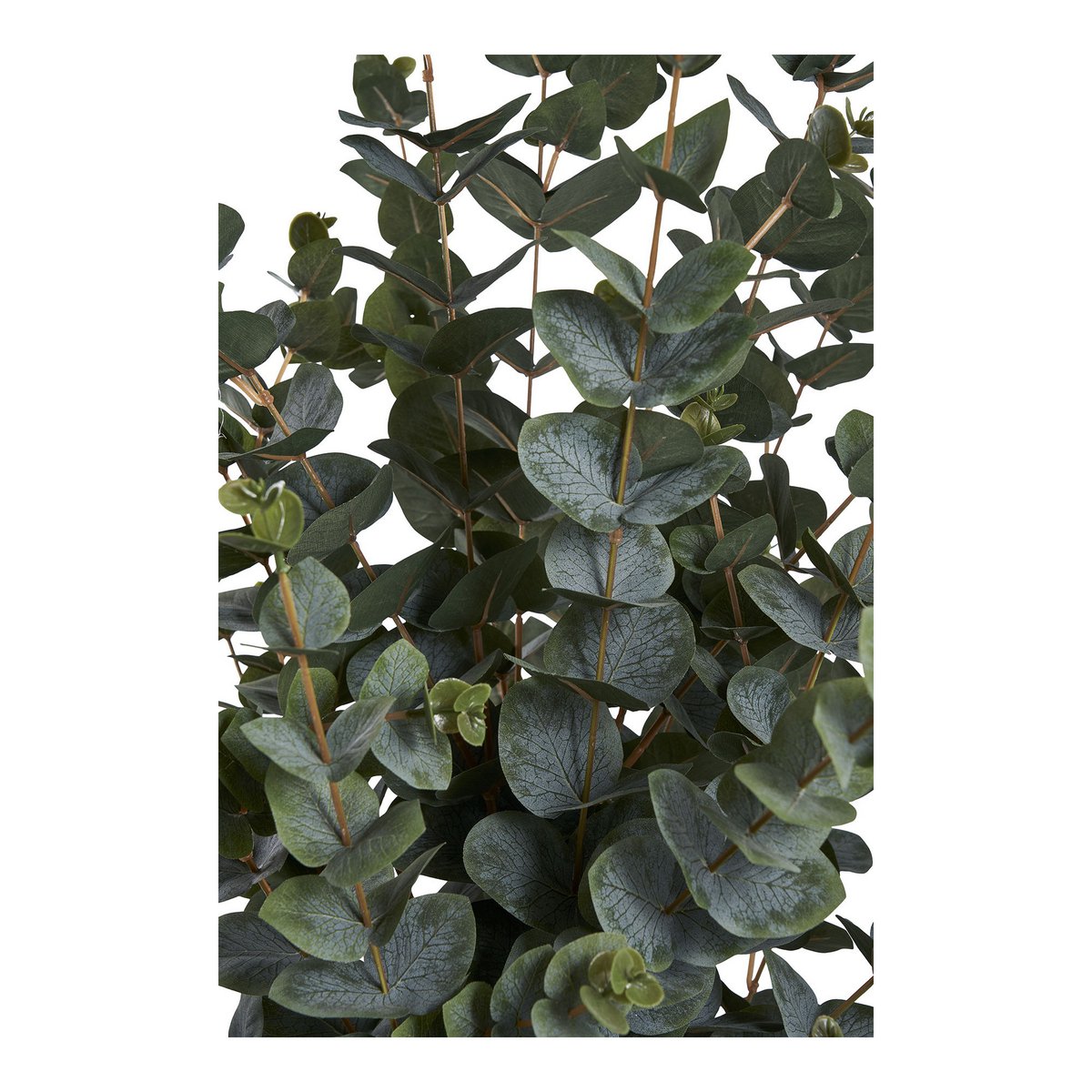 Eucalyptusboom - Groen, PE-kunststof, polyester, draad, cement, 120 cm