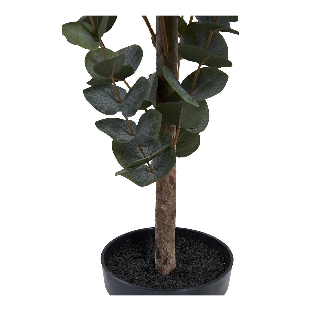 Eucalyptusboom - Groen, PE-kunststof, polyester, draad, cement, 120 cm