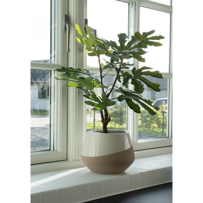Vijgenboom - Groen, PE-kunststof, H:60 cm